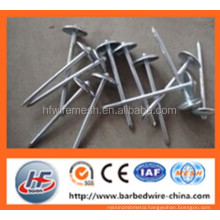 Best price and high quality roofing nails with umbrella head/metal roofing iron nail